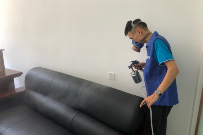 丽水除甲醛公司
